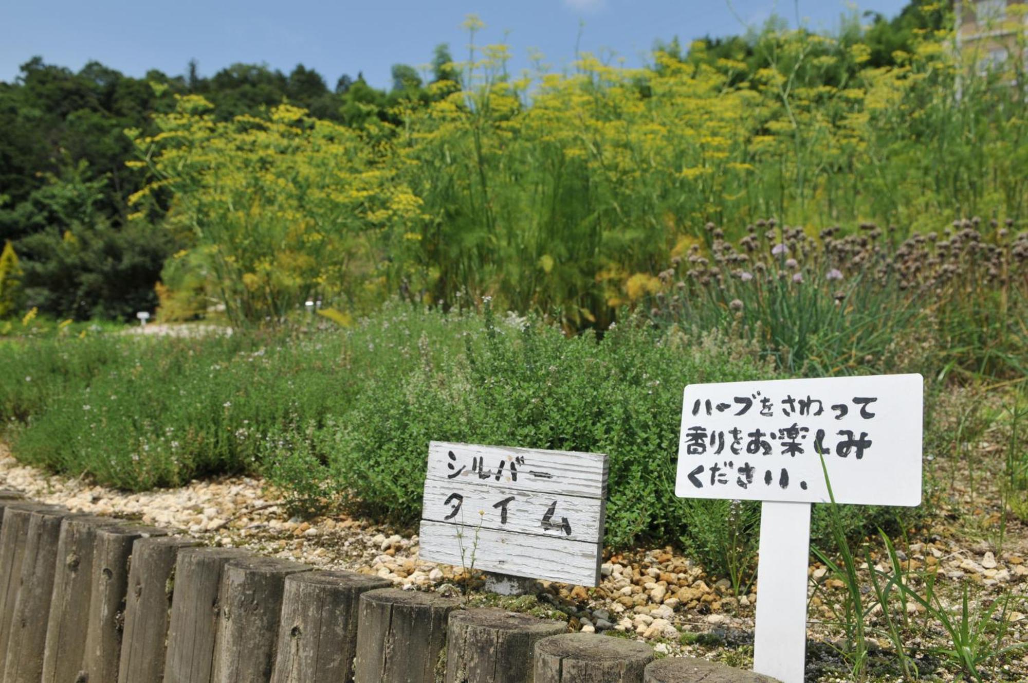 Hashidate Bay Hotel Yosano Eksteriør bilde